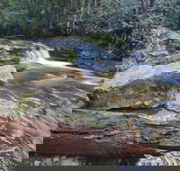 Liffey Falls Reserve - Restaurant Gold Coast