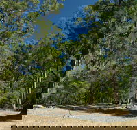 Maidens Tuart Forest - Restaurant Gold Coast