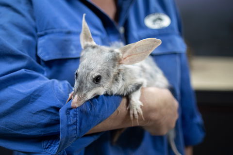 Matilda Way - Restaurant Gold Coast 2