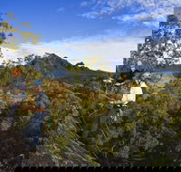 Mount Barney - Restaurant Gold Coast