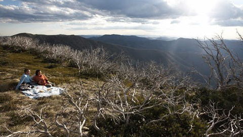 Mount Hotham - Restaurant Gold Coast 2