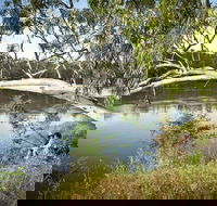 Murray Valley National Park - Restaurant Gold Coast