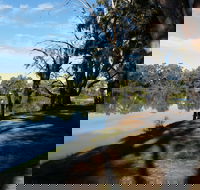 Murray River National Park - Katarapko - Restaurant Gold Coast