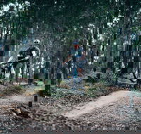 Nerang Mountain Bike Trails - Restaurant Gold Coast