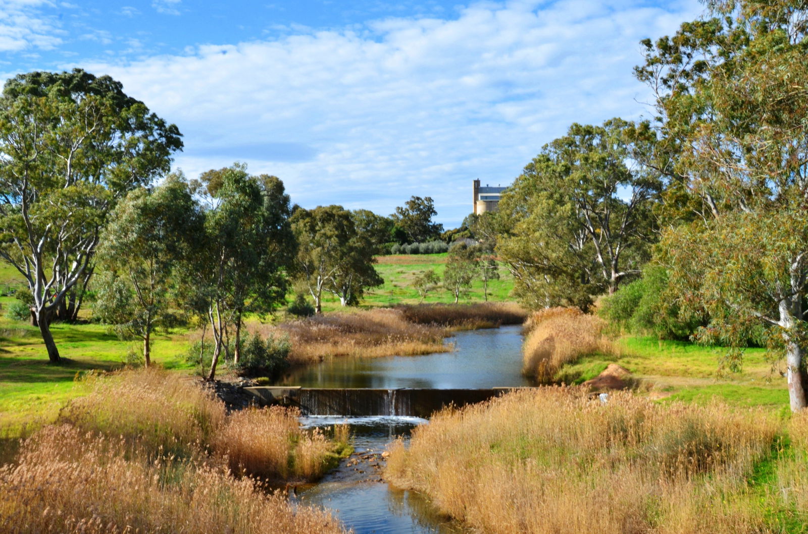 Salter Springs ACT Restaurant Gold Coast