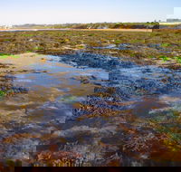 Point Danger Marine Sanctuary - Restaurant Gold Coast