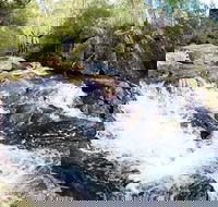 Polblue Falls - Restaurant Gold Coast