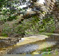 Saltwater National Park - Restaurant Gold Coast