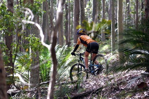 Tathra Beach - Restaurant Gold Coast 1