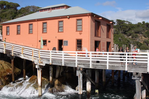 Tathra Beach - Restaurant Gold Coast 2