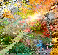 The Blue Mountains Botanic Garden Mount Tomah - Restaurant Gold Coast