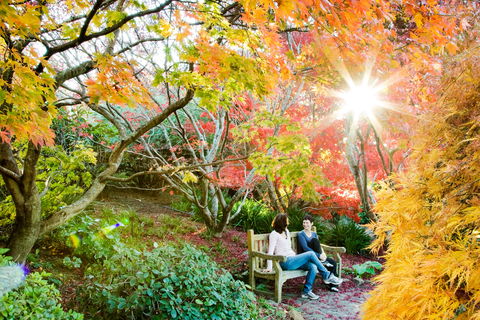 The Blue Mountains Botanic Garden, Mount Tomah - Restaurant Gold Coast 0