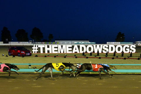 The Meadows - Restaurant Gold Coast 0