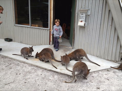 The Patriarch Wildlife Sanctuary - Restaurant Gold Coast 0