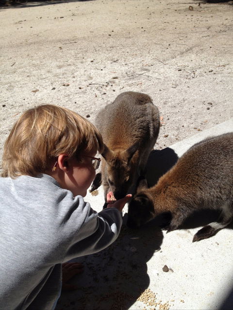 The Patriarch Wildlife Sanctuary - Restaurant Gold Coast 1