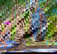 Wagirra Trail and Yindyamarra Sculpture Walk - Restaurant Gold Coast