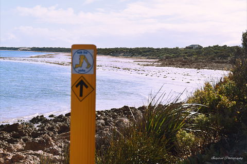 Walk The Yorke Trail - Restaurant Gold Coast 2