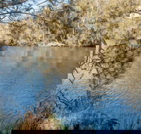 Wandandian Creek picnic area - Restaurant Gold Coast