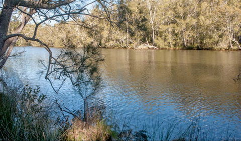Wandandian Creek Picnic Area - Restaurant Gold Coast 0