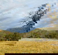 Weddin Mountains National Park - Restaurant Gold Coast