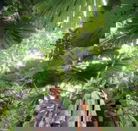 Wet Tropics Rainforest - Restaurant Gold Coast