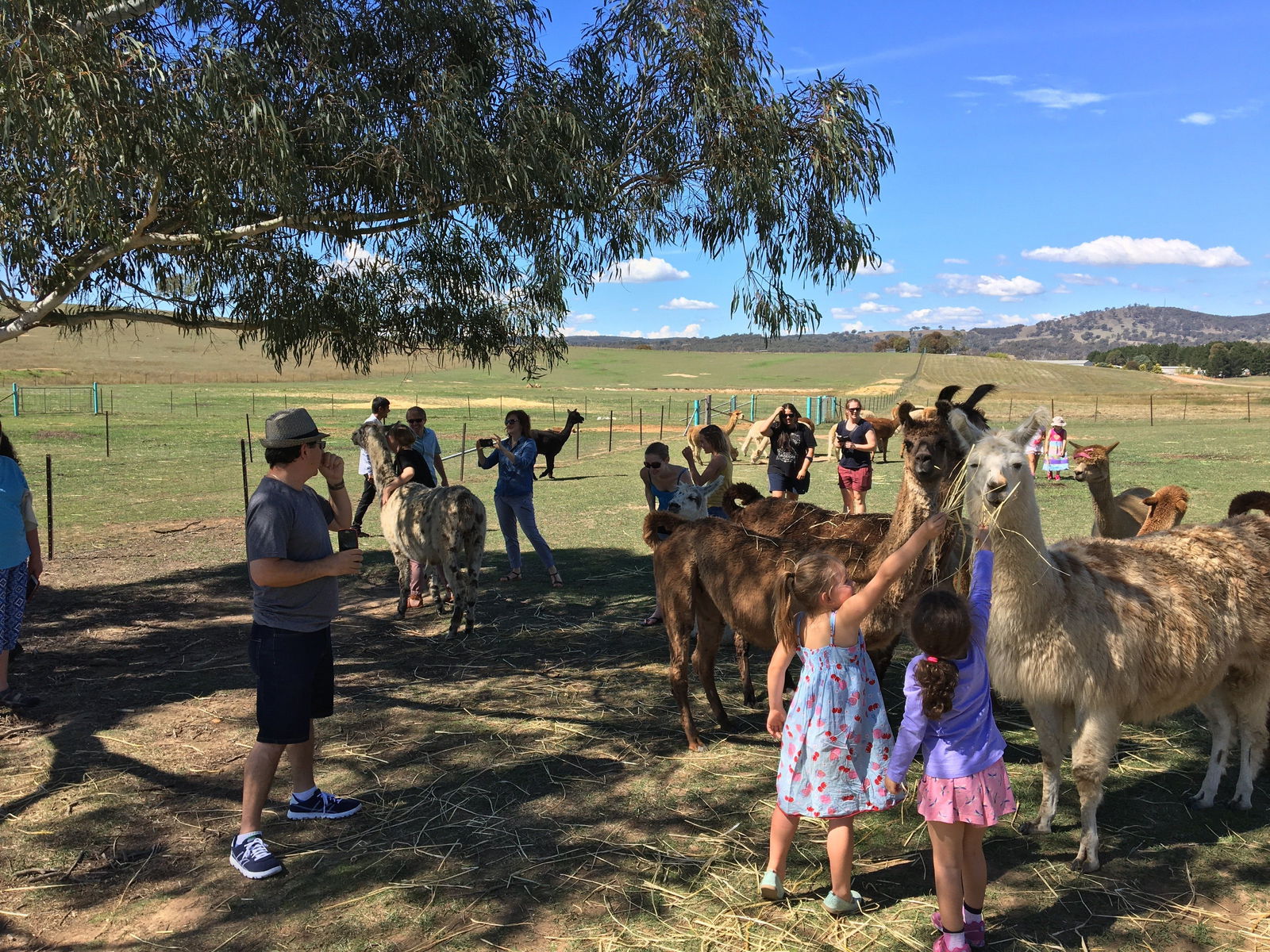 Googong NSW Restaurant Gold Coast