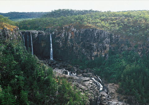 Blencoe Falls, Girringun National Park - Restaurant Gold Coast 2