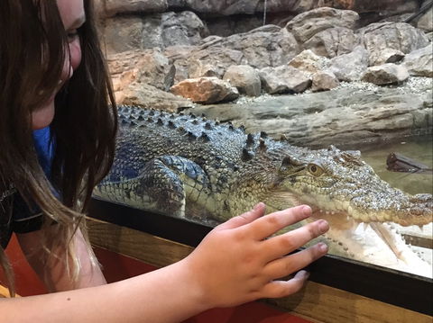 Canberra Reptile Zoo - Restaurant Gold Coast 0
