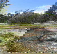 Christmas Rock Walk - Restaurant Gold Coast