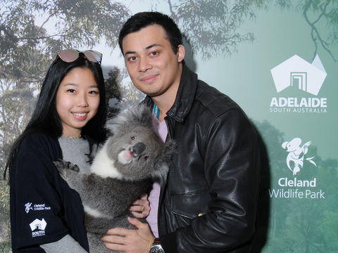 Cleland Wildlife Park - Koala Hold - Restaurant Gold Coast 0