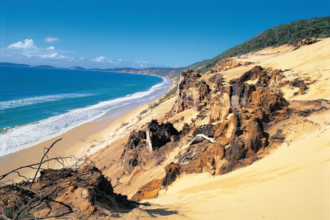 Cooloola, Great Sandy National Park - Restaurant Gold Coast 0
