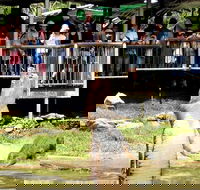 Crocodylus Park and Zoo - Restaurant Gold Coast
