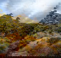 Dove Lake - Restaurant Gold Coast