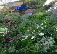 Down to Earth Permaculture - Restaurant Gold Coast