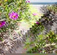 Fort Bribie - Restaurant Gold Coast