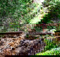 George Brown Darwin Botanic Gardens - Restaurant Gold Coast