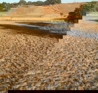 Gunning Golf Club - Restaurant Gold Coast