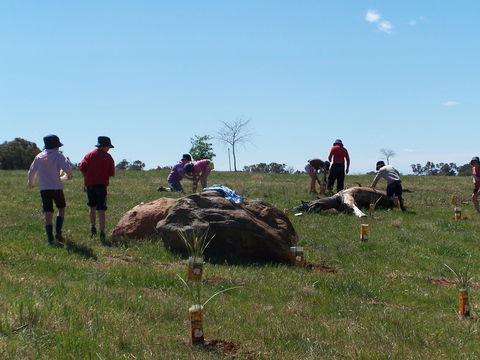 Jim Salmon  Wetland Education Site - Restaurant Gold Coast 0