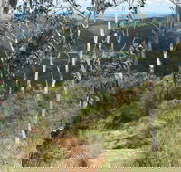 Mount Towac Walk - Restaurant Gold Coast
