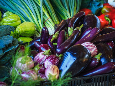 Murwillumbah Farmers' Market - Restaurant Gold Coast 1