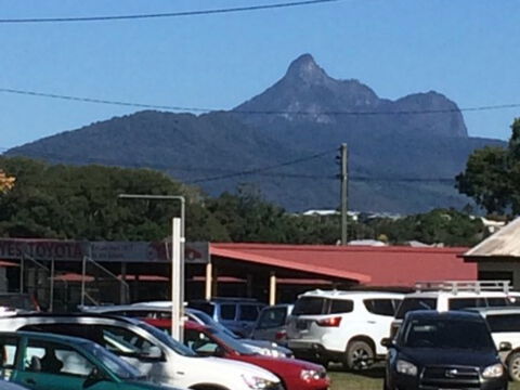 Murwillumbah Farmers' Market - Restaurant Gold Coast 2