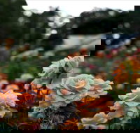 Newtown Park State Rose Garden - Restaurant Gold Coast