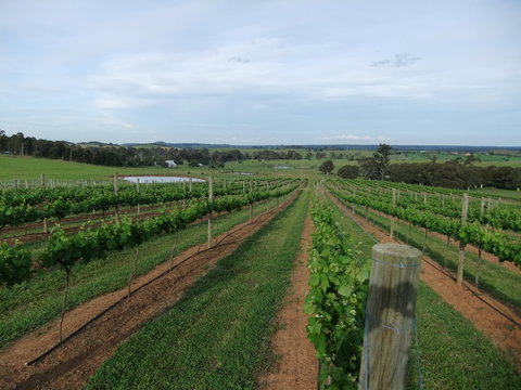 Razorback, Cawdor, Camden Park - Restaurant Gold Coast 0