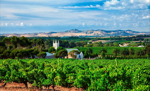 Seppeltsfield Road Barossa Valley - Restaurant Gold Coast 1