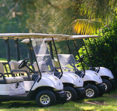 The Vale Golf Course - Restaurant Gold Coast 0