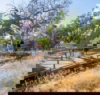 Timber Creek - Restaurant Gold Coast