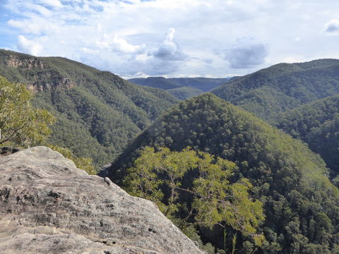 Vale Of Avoca - Restaurant Gold Coast 0