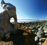 Wallabi Point - Restaurant Gold Coast