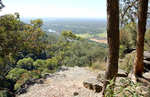 Yellow Rock Lookout - Restaurant Gold Coast 0