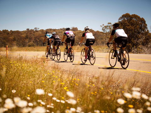 7 Peaks Ride - Dinner Plain - Restaurant Gold Coast 0